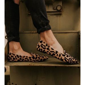 Leopard print flats BRAND NEW!